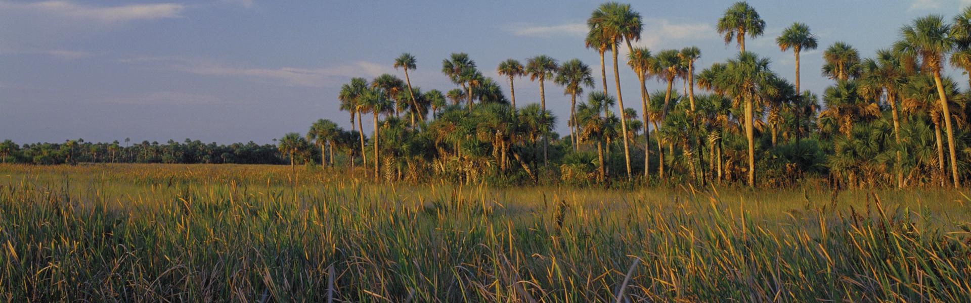 us_visitflorida-everglades_national_park.jpg