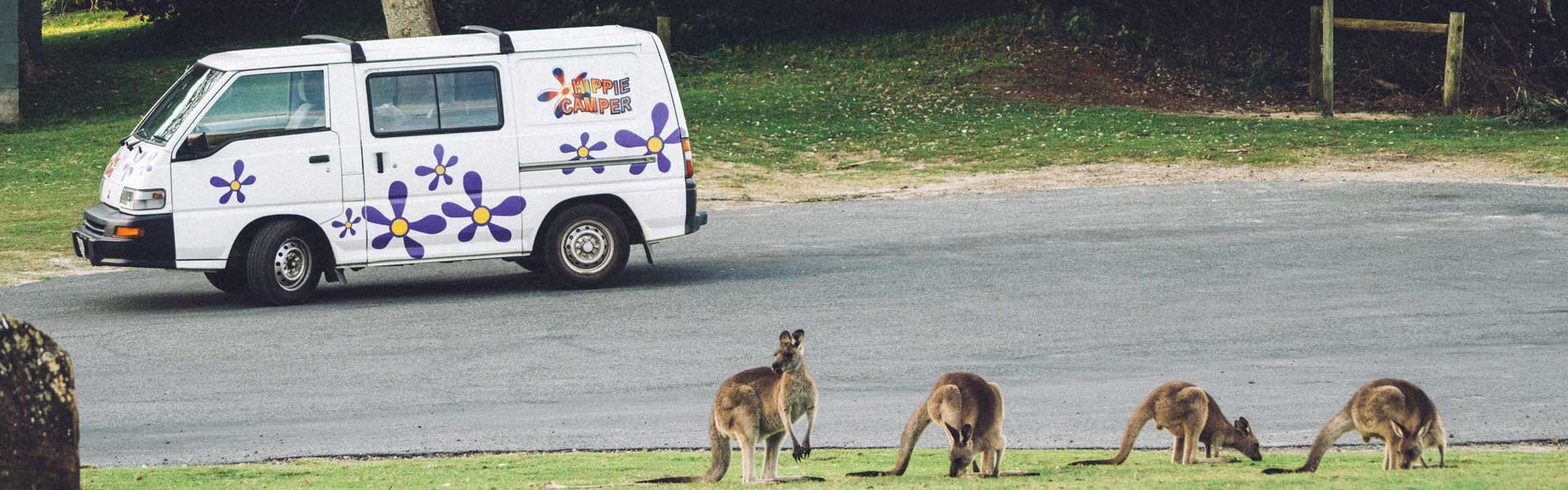 Op camperreis door Australië in een camper van Hippie