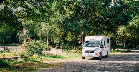 Ga op camperreis door IJsland in de McRent EcoLine 2 camper