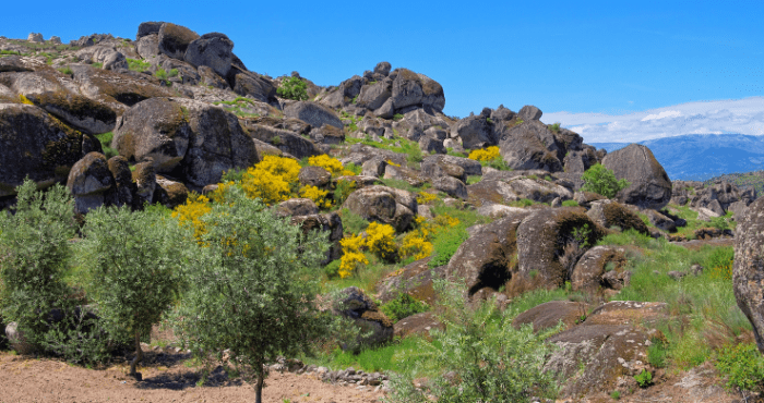 Ontdek Serra del Estrela tijdens een camperreis door Noord-Portugal vanuit Porto