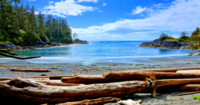Ontdek Vancouver Island tijdens een camperreis door West-Canada vanuit Vancouver
