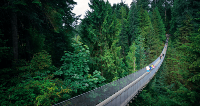 Ontdek het Westen van Canada en haal uw camper op in Vancouver met Victoria CamperHolidays.