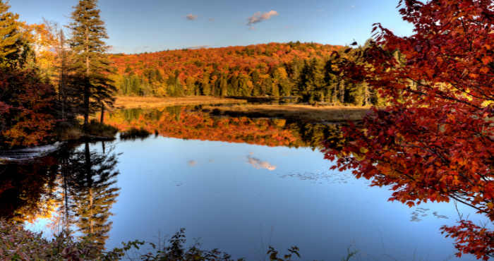 Ontdek Algonquin Provincial Park tijdens een camperreis door Oost Canada vanuit Toronto