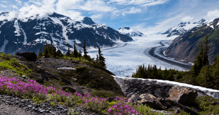 Bezoek de prachtige Salmon Glacier tijdens je campervakantie 
