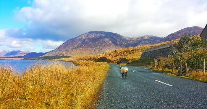 Ga op camperreis door Noord-Ierland en bezoek Connamara National Park