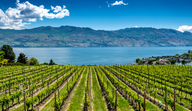 Ontdek het Okanagan Lake tijdens een camperreis vanuit Seattle
