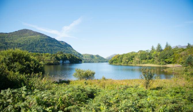 Ontdek de natuur van Killarney tijdens je camperreis door Ierland