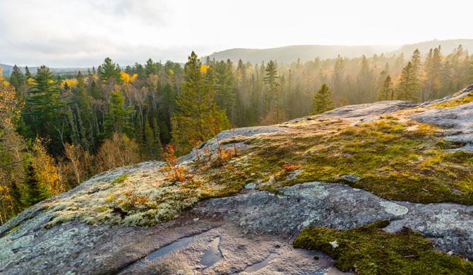 Algonquin Provincial Park Oost-Canada