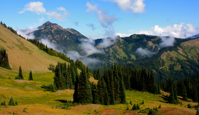 Ontdek Olympic National Park tijdens een camperreis vanuit Seattle
