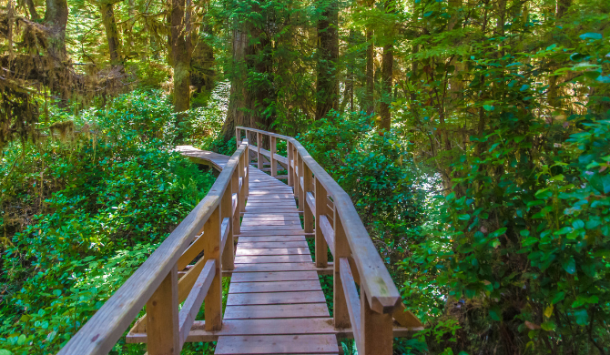 Ontdek-het-regenwoud-vancouver-island Ontdek-het-regenwoud-vancouver-island