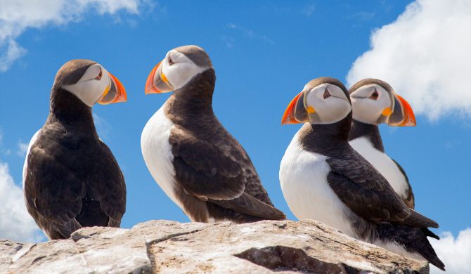 Ontdek de prachtige natuur van IJsland tijdens een camperreis vanuit Reykjavik