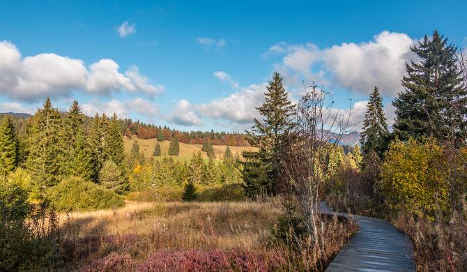 Op camperreis door Duitsland