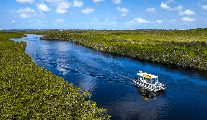 Bezoek de Everglades tijdens een camperreis door Florida