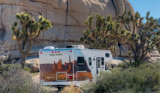 Joshua Tree National Park