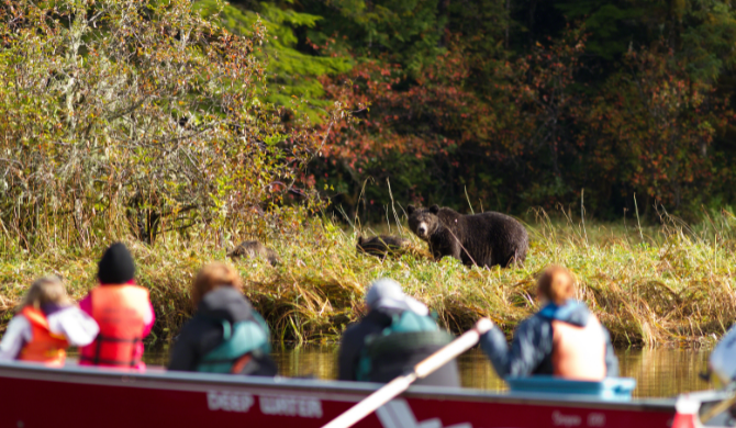 Camperreis West-Canada incl. Inside Passage vanuit Vancouver