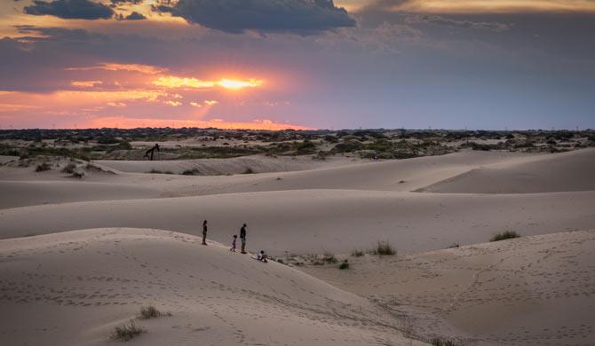 Monahans Sandhills State Park